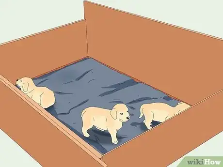 Image titled Make Sure That Your Dog Is Okay After Giving Birth Step 12