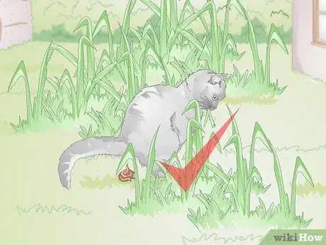 Image titled Stop Your Cat from Eating Grass Step 11