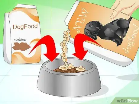 Image titled Get Your Dog to Eat the Dog Food It Does Not Like Step 6