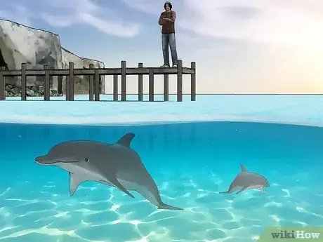 Image titled Save Dolphins Step 1