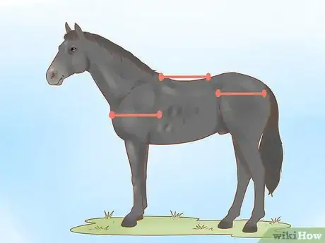 Image titled Judge a Horse Step 2