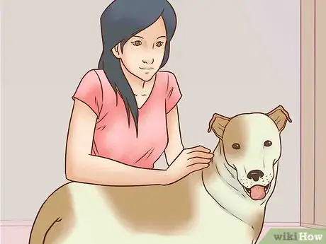 Image titled Keep Both Dogs Safe While Mating Them Step 8