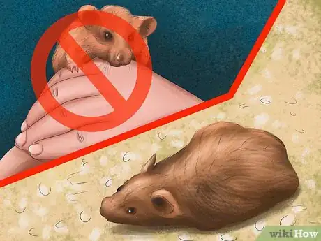 Image titled Take Care of a Hamster That is Giving Birth Step 7