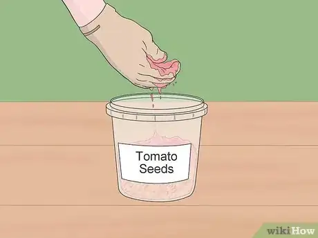 Image titled Grow Tomatoes from Seeds Step 6