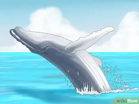 Image titled Why Do Whales Breach Step 7