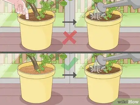 Image titled Get Rid of Fruit Flies in Plants Step 2