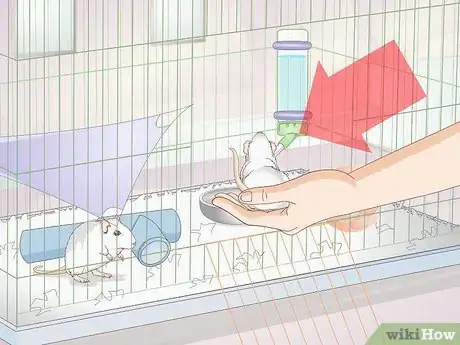 Image titled Set up a Pet Rat Cage Step 7