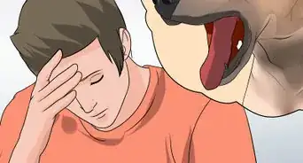 Get Rid of Dog Hiccups