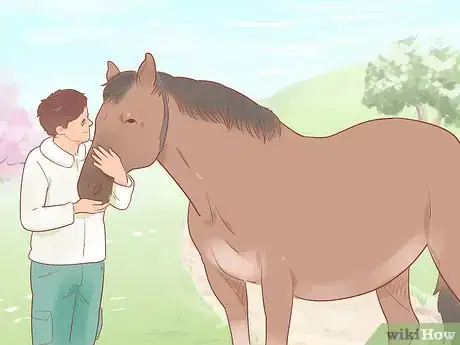 Image titled Care for a Pregnant Mare Step 13