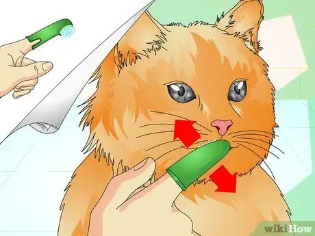 Image titled Check Your Cat's Teeth Step 9