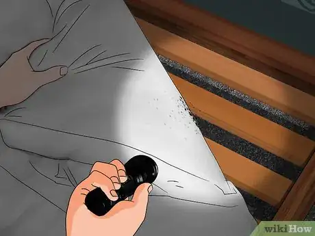Image titled Get Rid of Bed Bug Stains Step 1