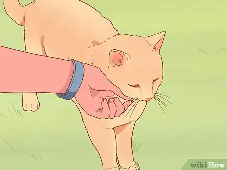Image titled Greet a Cat Step 8