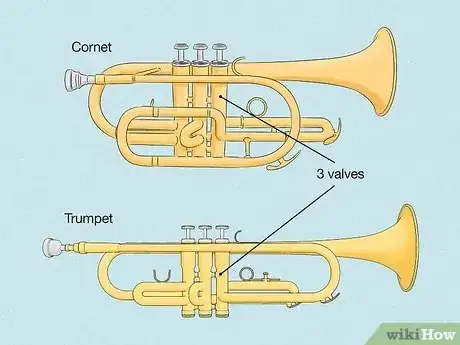 Image titled Cornet vs Trumpet Step 1