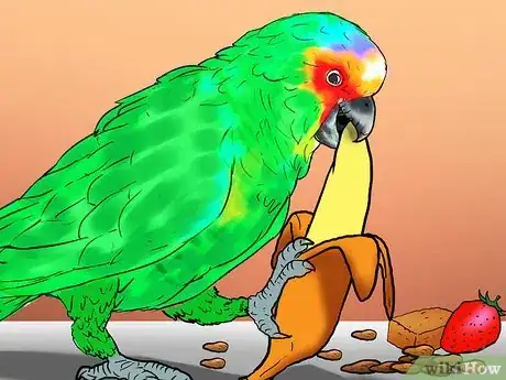 Image titled Know if an Amazon Parrot Is Right for You Step 14