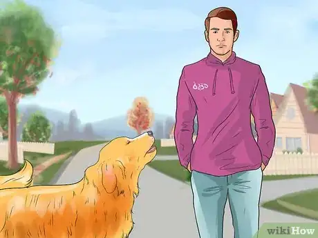 Image titled Make a Golden Retriever Stop Barking Step 3