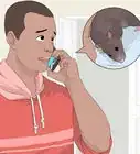 Treat Ear Infections in Rats