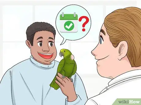 Image titled Treat Tumors in Amazon Parrots Step 10