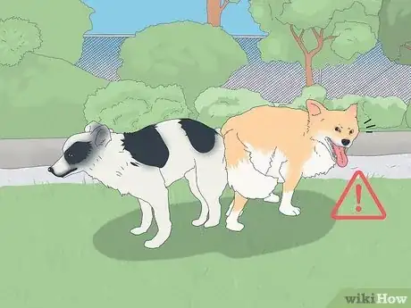 Image titled Unstick a Dog After Mating Step 8