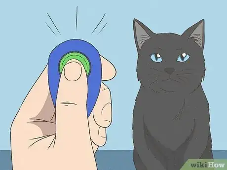 Image titled Teach Your Cat to Do Tricks Step 3