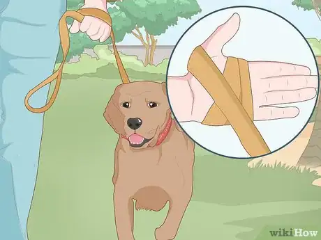Image titled Walk a Stubborn Dog Step 4