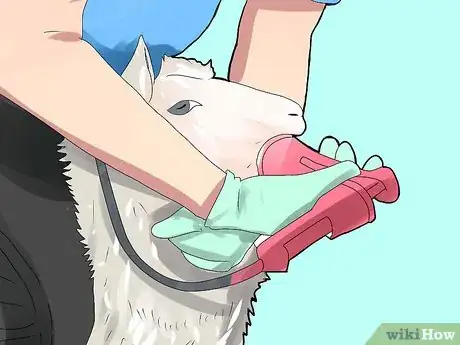 Image titled Get Started in Raising Sheep Step 12