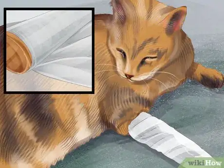 Image titled Care for Your Pet's Bandages Step 4