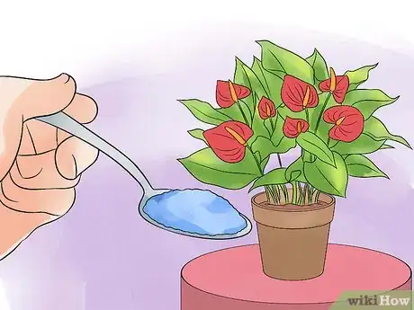 Image titled Grow Anthurium Plants Step 7