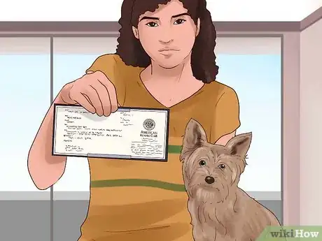 Image titled Train Your Dog for a Dog Show Step 1