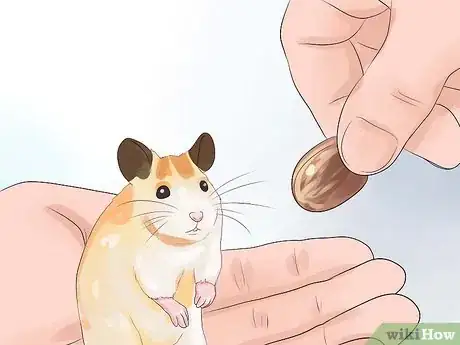 Image titled Feed Hamsters Step 9