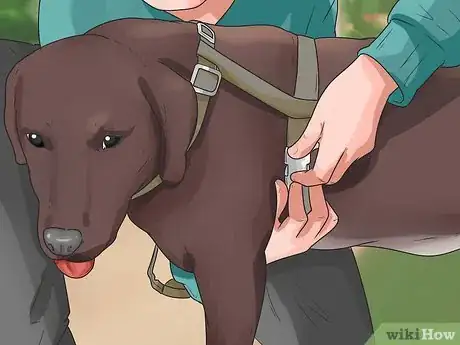 Image titled Treat Neck Pain in Dogs Step 16