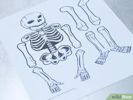 Image titled Make a Human Skeleton out of Paper Step 3