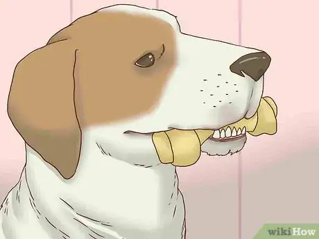 Image titled Get Your Dog to Stop Play Biting Step 8
