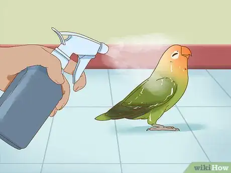 Image titled Keep a Lovebird As a Pet Step 18