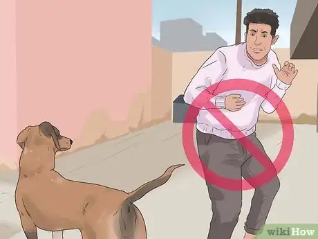 Image titled Catch a Stray Dog Step 3