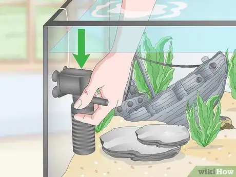 Image titled Set up a Tropical Freshwater Aquarium Step 10