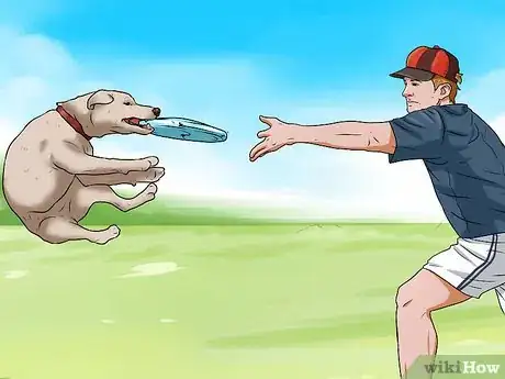 Image titled Teach a Dog to Fetch Step 5