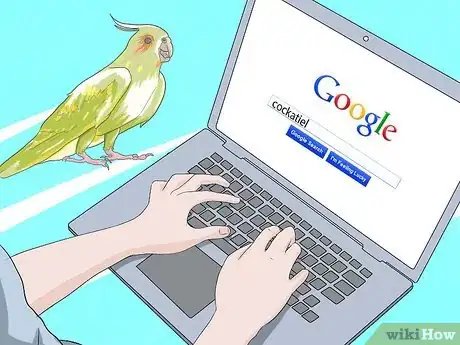 Image titled Take Care of a Cockatiel Step 1