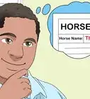 Register a Horse