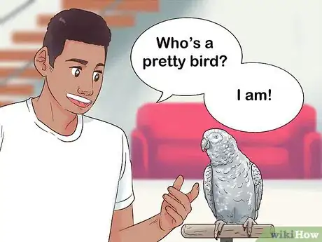 Image titled Encourage an African Grey Parrot to Speak Step 14