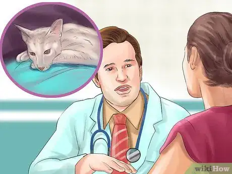 Image titled Diagnose Feline Stomatitis Step 6