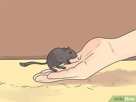 Image titled Care for Gerbils Step 12