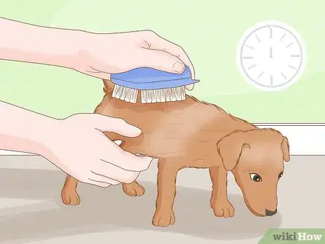 Image titled Stop a Dog from Humping Step 12