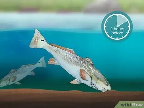 Image titled Catch Redfish Step 10