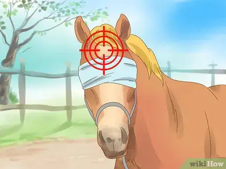 Image titled Put Down a Horse Step 13