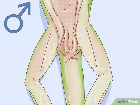 Image titled Determine the Sex of a Green Anole Step 4