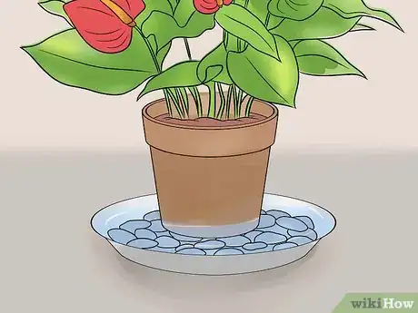 Image titled Grow Anthurium Plants Step 4