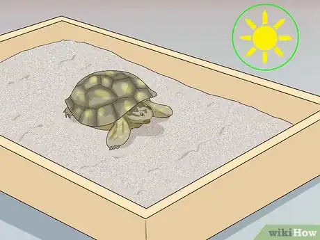 Image titled Take Care of a Russian Tortoise Step 10