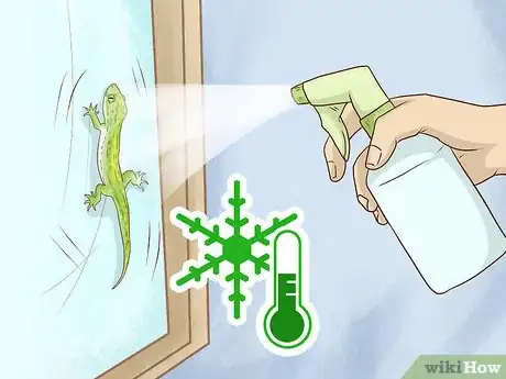 Image titled Get Rid of Geckos Step 4