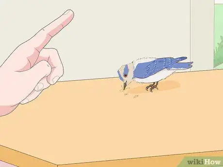 Image titled Train Your Bird Step 29