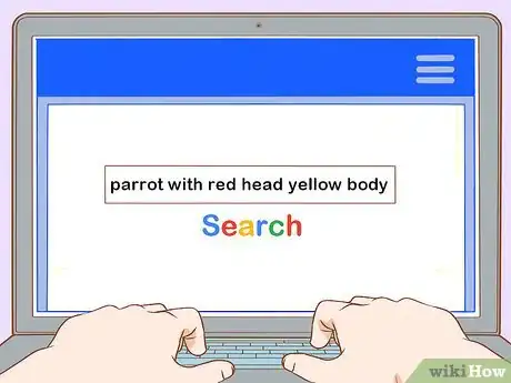 Image titled Identify Parrots Step 15